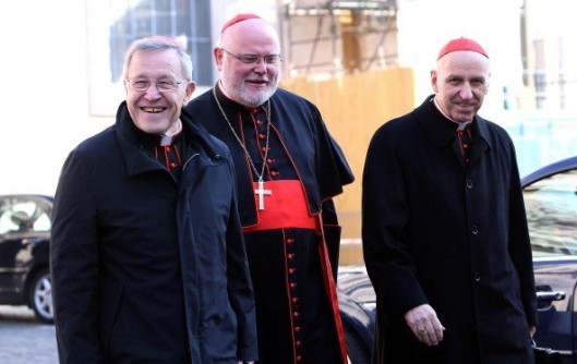 Cardinals Ideologues I
